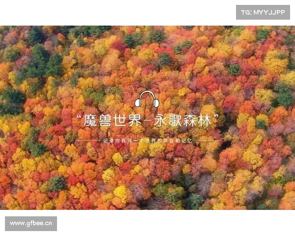 为什么永歌森林是你人生中不可错过的旅行目的地必看理由 为什么永歌森林是你人生中不可错过的旅行目的地必看理由