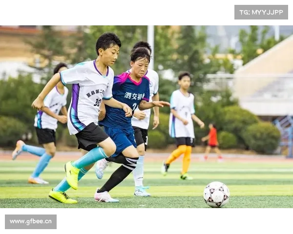 如何成功报名并参加全球最大足球赛事的激动人心盛会