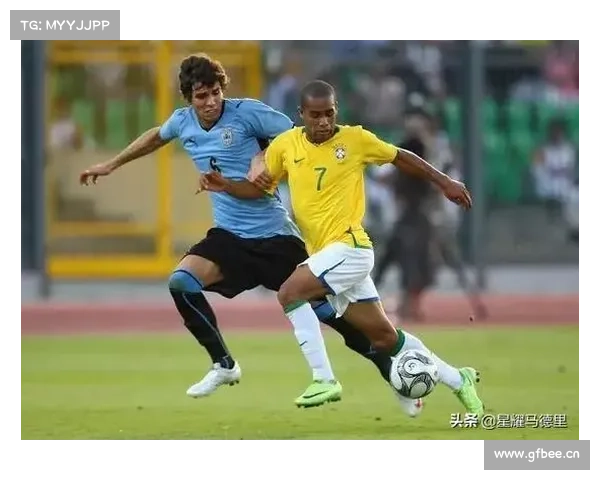 探索新西兰中超联赛成功因素与未来市场潜力的深度分析